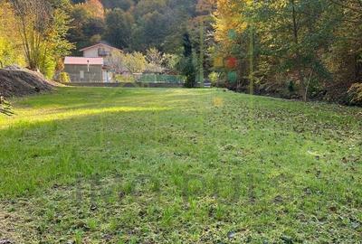 Proprietar. Vand teren. Paraul Runcu este limita de proprietate. Drum asfaltat - 6