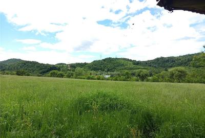 Borlovenii Noi, Teren Drept, 16000mp, la Limita Localitatii - 8