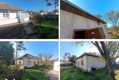 Casă cu 3 camere cu Teren 1484 Mp în Havârna - 4