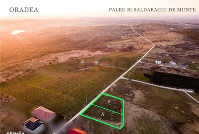 Spațiu comercial, în Central - 2