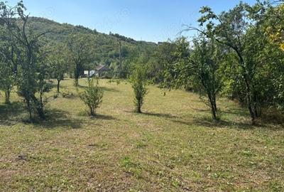 Teren de 3000 mp, în Central - 2