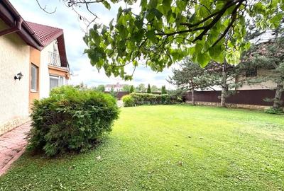 Individual villa with swimming pool Iancu Nicolae - 5