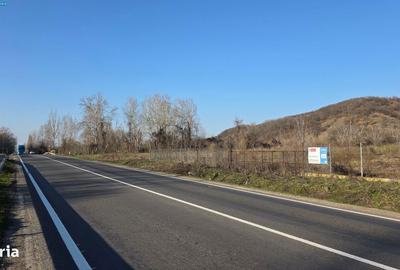 Spațiu comercial, în Hinova - 3