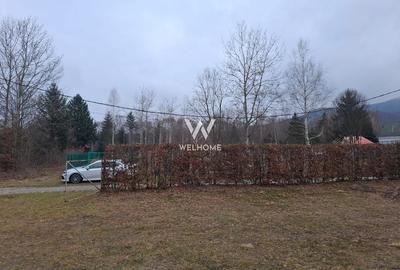 Teren deosebit pozitionat, cu livada, langa padure,  pe Valea Avrigului - 8