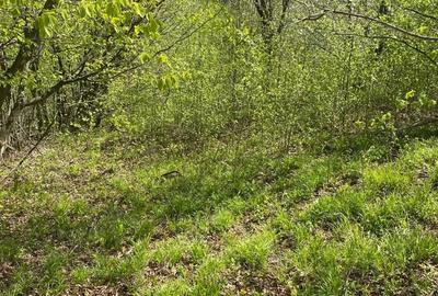 Teren de 1220 mp, în Teșila - 7
