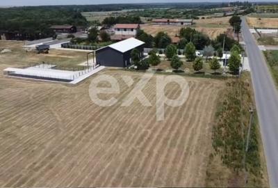 Teren Construcții intravilan de 105000 mp, în Crânguri - 4