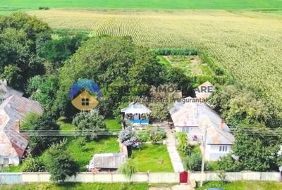 TEREN intravilan  9.126 mp - comuna STEFAN cel MARE - 3