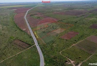 Teren de 33000 mp, în Bolotești - 5