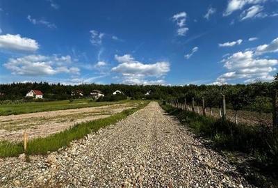 Teren Construcții intravilan de 500 mp, în Alparea