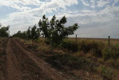 Teren de 49178 mp, în Slobozia Conachi - 16
