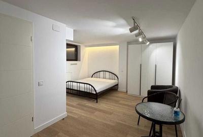 Garsonieră semidecomandată, mobilată în Moșilor - 2