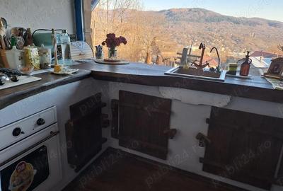 Casă cu 6 camere cu Teren 2377 Mp în Ghioșești - 4