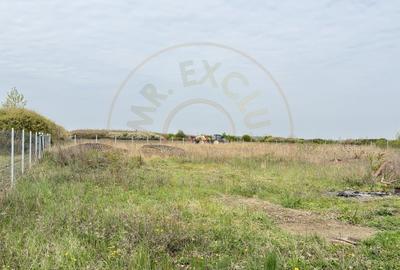 Teren Construcții intravilan de 5000 mp, în Carei - 4