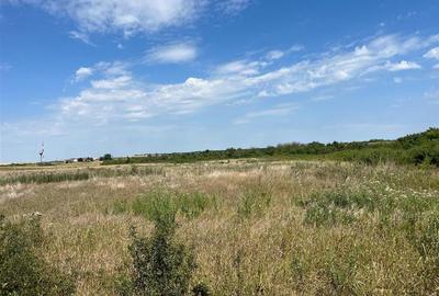 RECO Teren intravilan 3,9 ha -Les