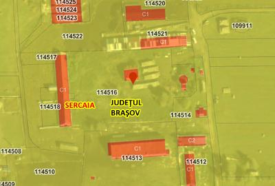 De vânzare – Proprietate ideală pentru fermă / agroturism – Șercaia, jud. BV - 5