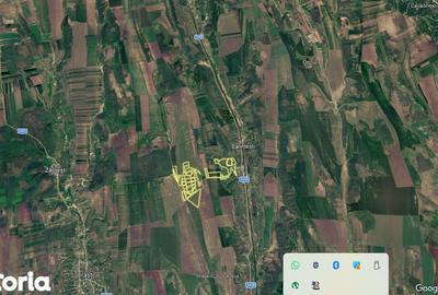 Teren de 700000 mp, în Berești-Meria - 7