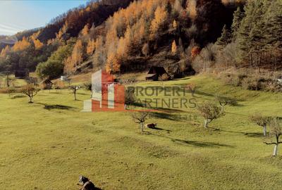 Teren Construcții intravilan de 8206 mp, în Moieciu - 6