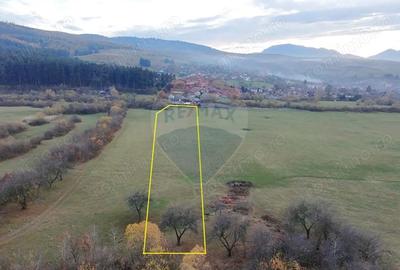 Teren de 5800 mp, în Purcăreni - 3