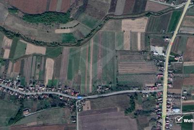 Teren 6200 mp, Fundatura, ferit de drumul principal - 2