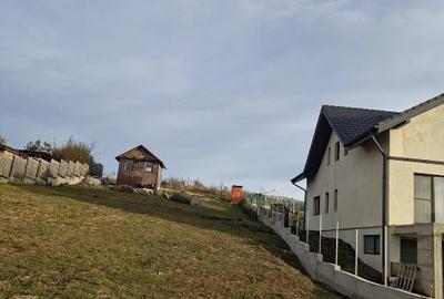 Vand teren in Chinteni - 5