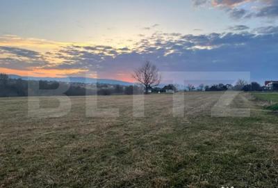 Teren de 27759 mp, în Central - 6