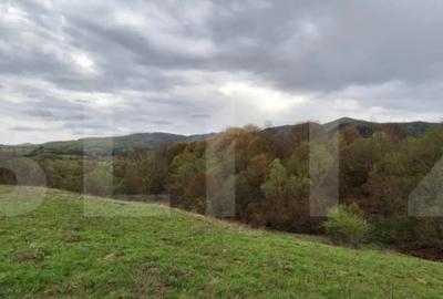 Teren de 12500 mp, în Central - 2