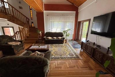 VILA DEOSEBITA IN SLATINA - LUNCANI - OAZA DE LINISTE LA MARGINEA PADURII - 7