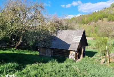 Casă cu 2 camere cu Teren 48 Mp în Lupșa - 5