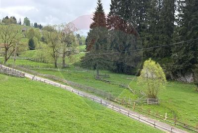 Teren 1,041mp Fundatica / Drumul Fundatica - 2