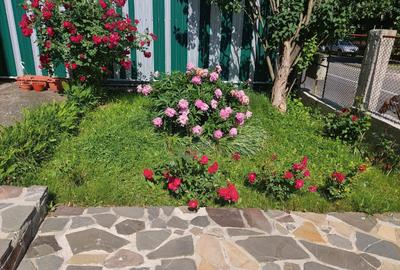 Casă cu 2 camere cu Teren 400 Mp în Central - 3