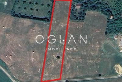 Teren Construcții intravilan de 3500 mp, în Periferie - 1