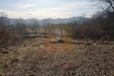 Teren 1800 mp intravilan, zona Gloduri - 11