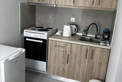 Apartament o camera de inchiriat in zona Aradului - 1