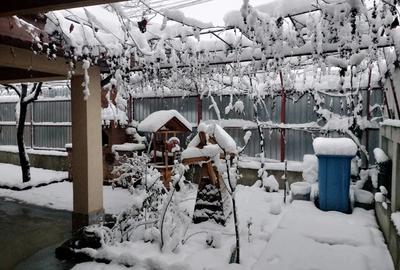 Casă în Giurgiului - 10