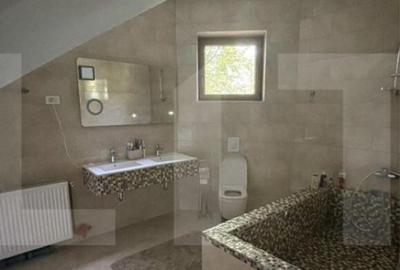 Casa cu 4 camere, 210 mp utili, teren cu 350 mp, Dambul Piet - 7