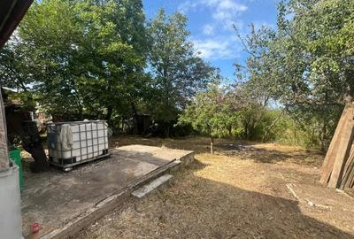 Casă cu 3 camere în Plopu - 4