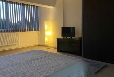 Garsonieră decomandată în Tudor - 7