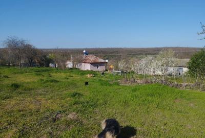 Casă cu 2 camere cu Teren 2500 Mp în Dumbrăveni - 8