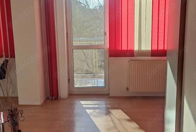 Garsonieră semidecomandată în Valea Ialomiței - 8