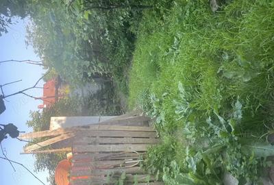 Casă cu 4 camere cu Teren 503 Mp în Târgu Ocna - 5