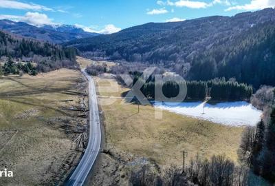 Teren de 19200 mp, în Brădet - 16