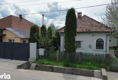 Casă cu 3 camere cu Teren 1320 Mp în Stâlpeni - 5