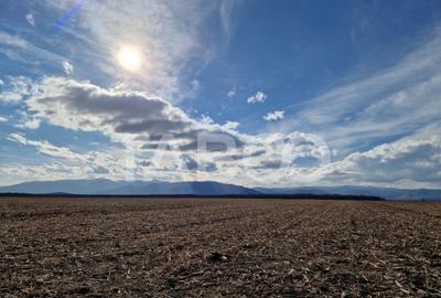 Teren de 5950 mp, în Central