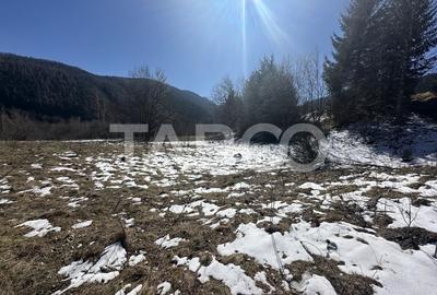 Teren extravilan 4600 mp cu acces la rau Satul de Vacanta Dejani - 2