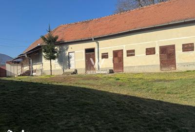 Casă cu 3 camere cu Teren 1500 Mp în Central - 20