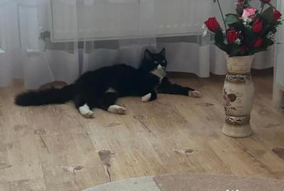 Apartament cu 2 camere nedecomandat în Florești - 1