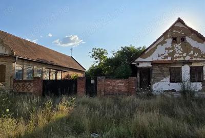 Casa cu gradina de vanzare