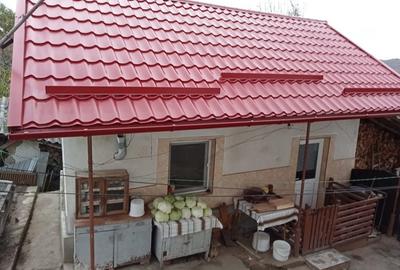 Casă cu 5 camere cu Teren 1007 Mp în Aranghel - 8