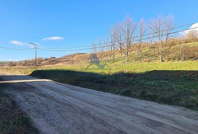 Teren Construcții intravilan de 2500 mp, în Șura Mare - 6