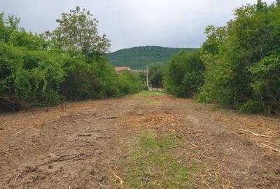 Teren Construcții intravilan de 1800 mp, în Turnu Roșu - 3